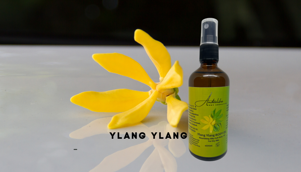 BODY OIL 100ml