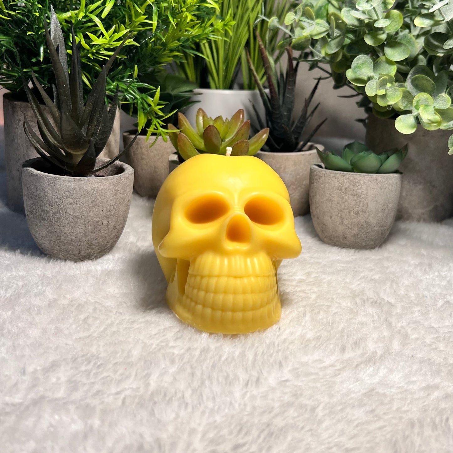 THE SKULL CANDLE e260g