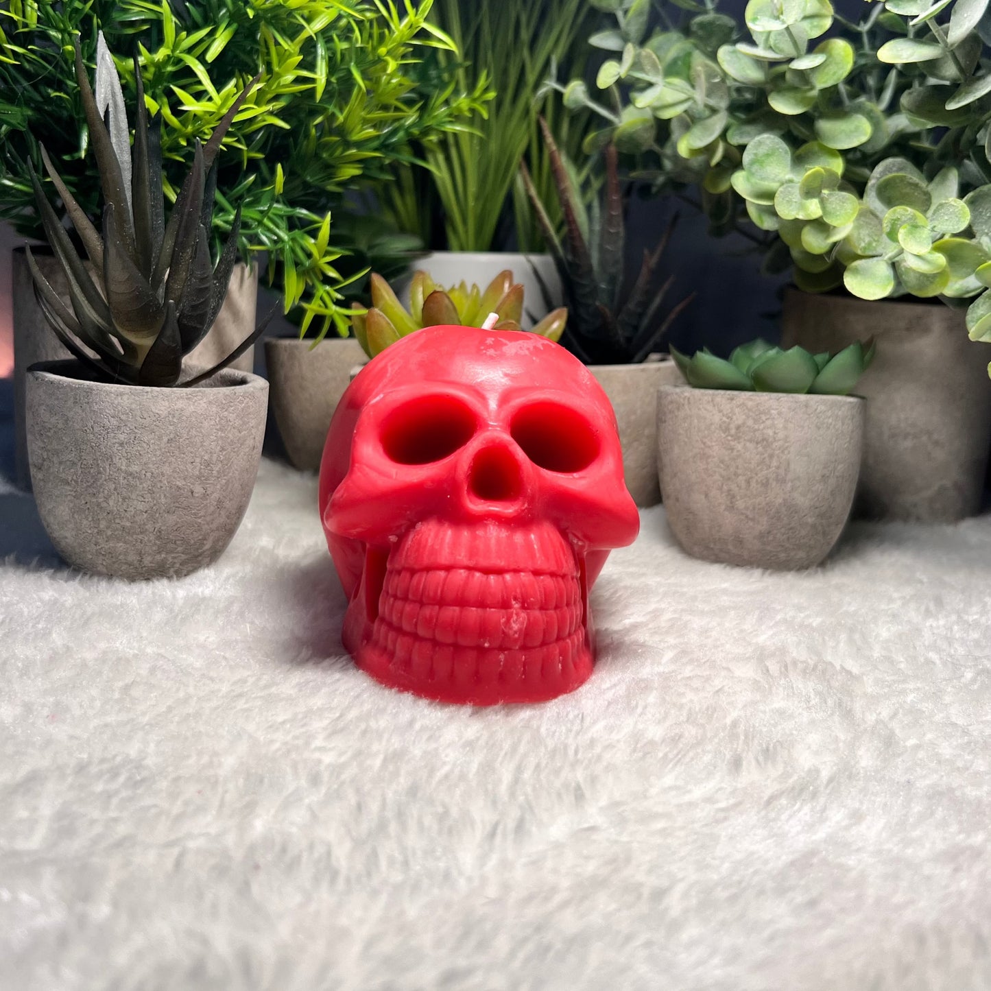 THE SKULL CANDLE e260g