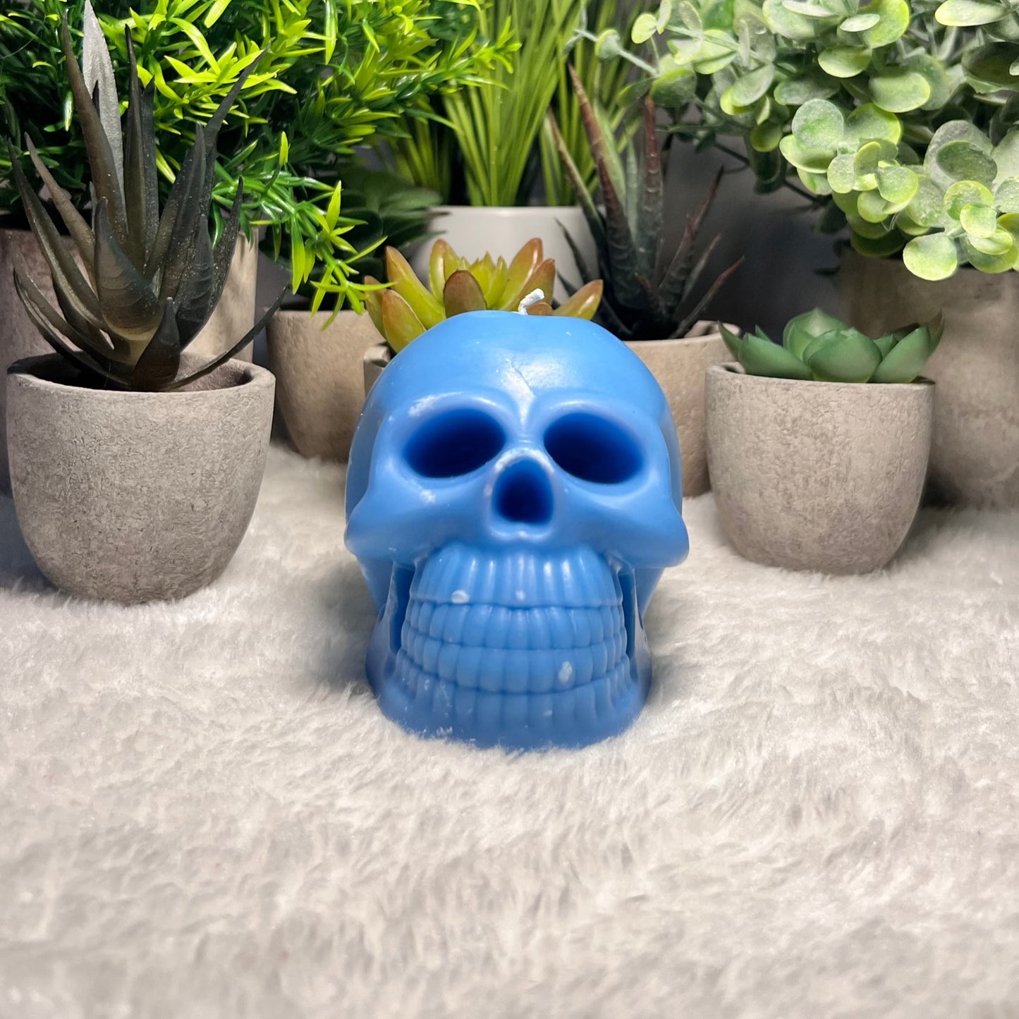 THE SKULL CANDLE e260g